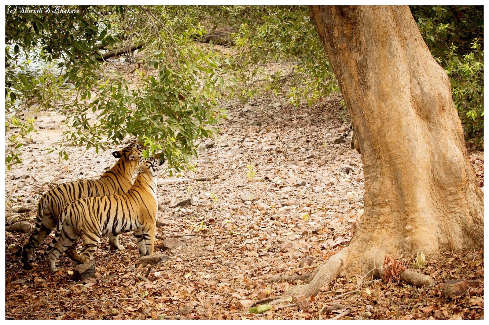 c3750ad6-015a-4ad7-a606-57baff3018bb