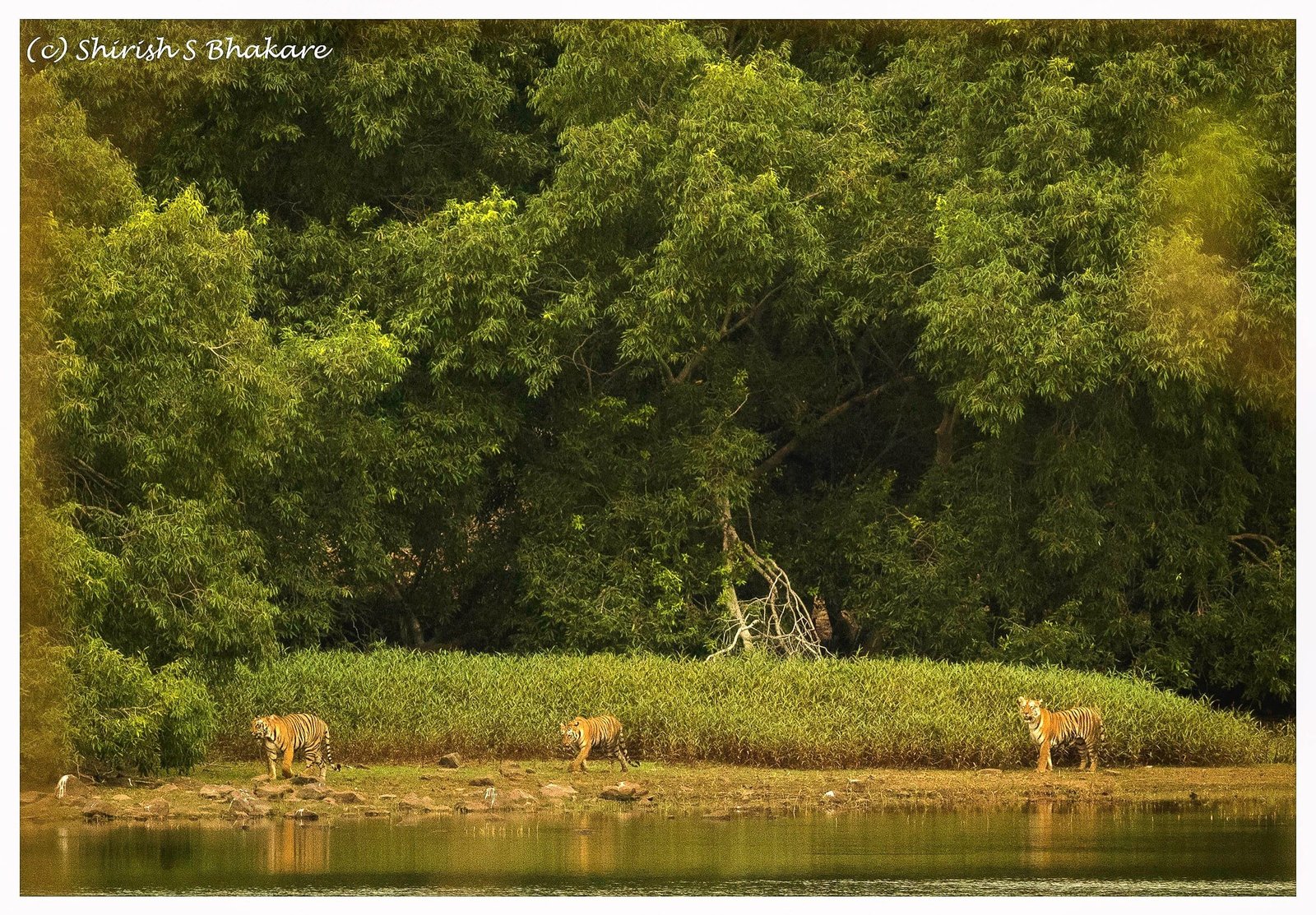 3c1c0577-f9cb-40fb-8dfe-d9eae11a7e61